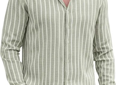 Regular Fit Vertical Striped Casual Shirt